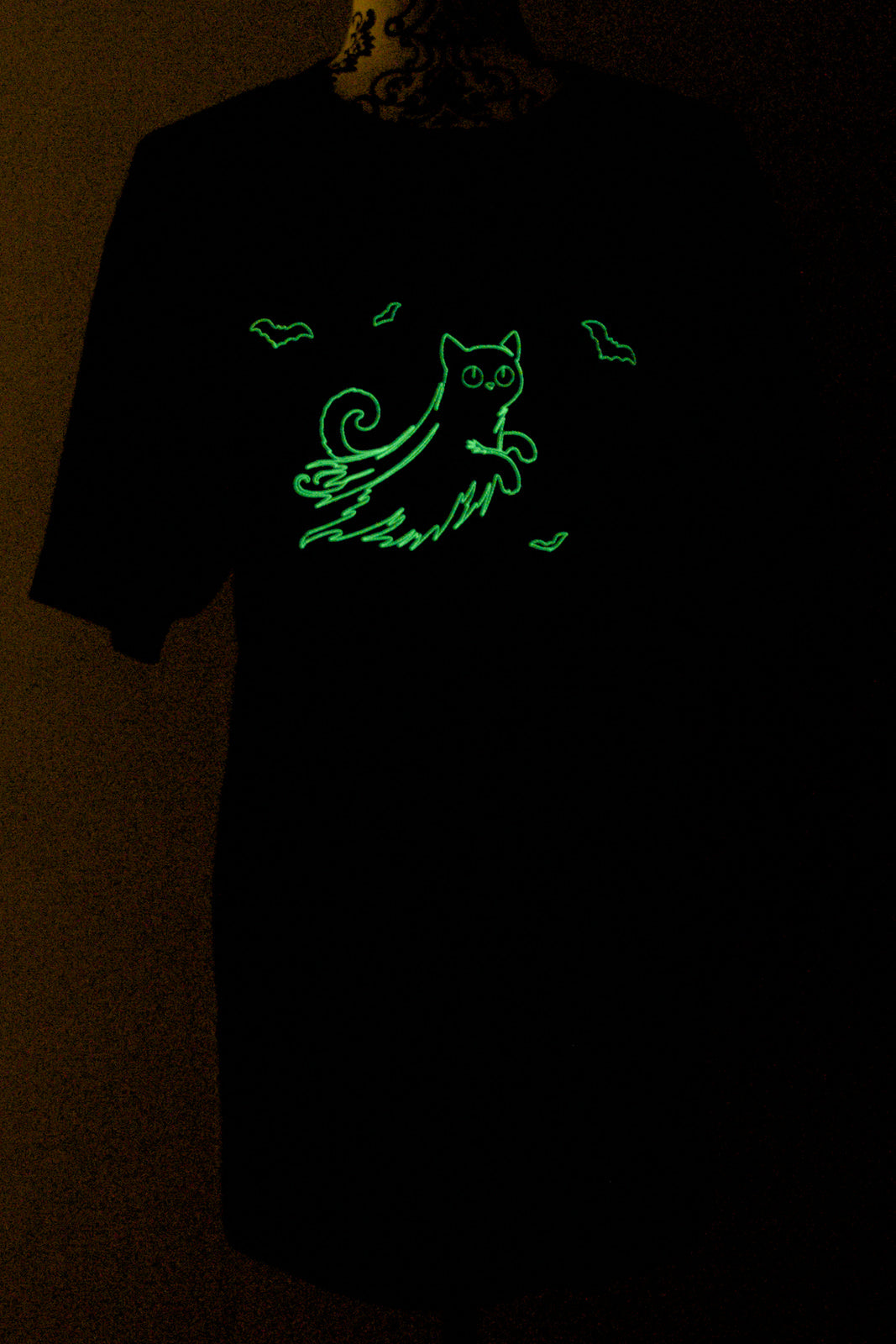 Cat-sper, A Friendly Ghost