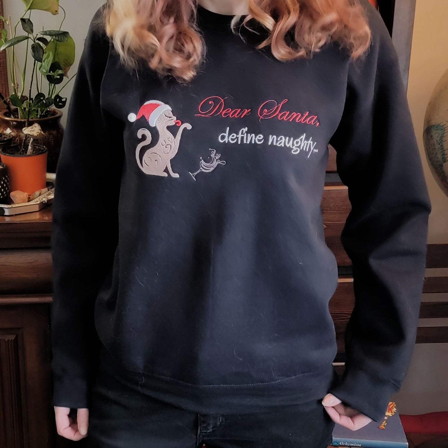 Dear Santa Sweatshirt