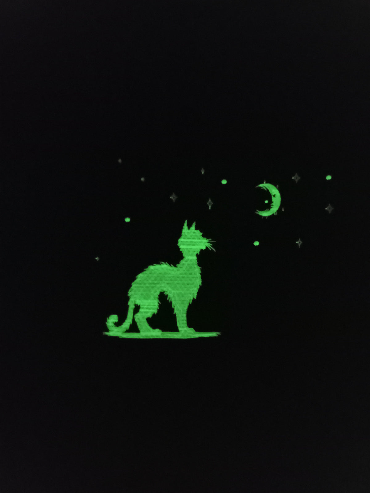 Moonwatch - Glow-In-the-Dark Thread on Black Sweatshirt