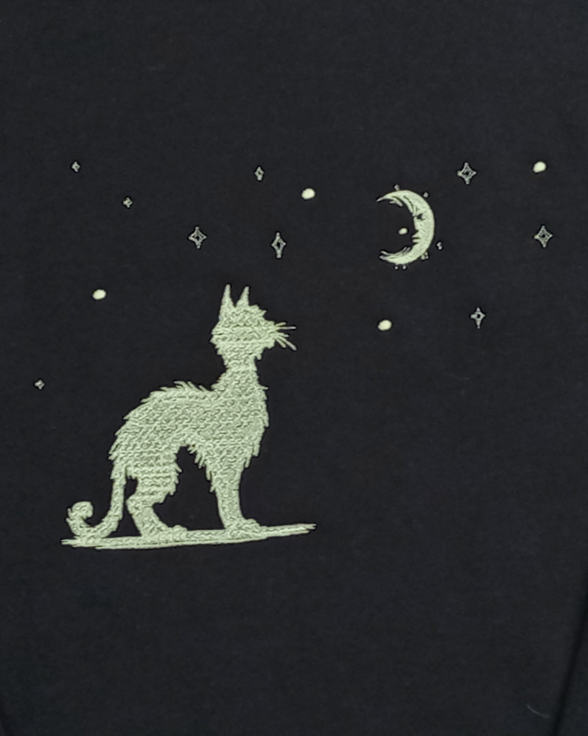 Moonwatch - Glow-In-the-Dark Thread on Black Sweatshirt