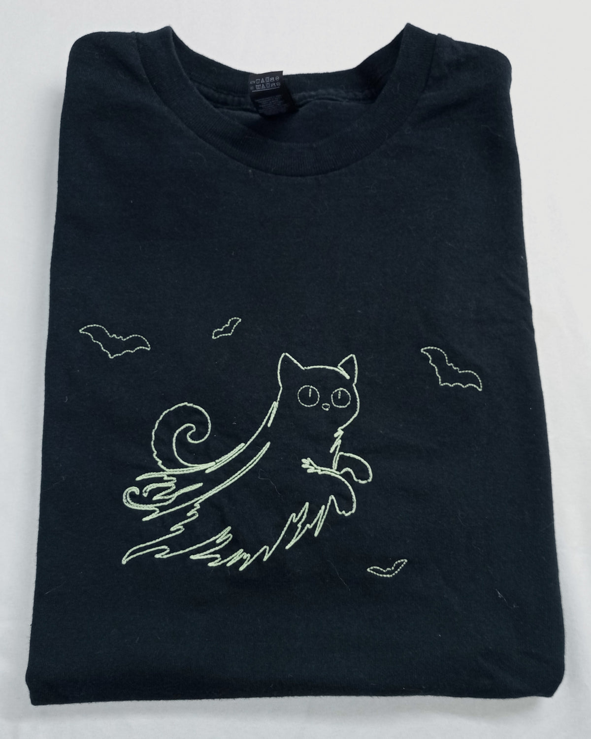 Chat fantôme - Phosphorescent