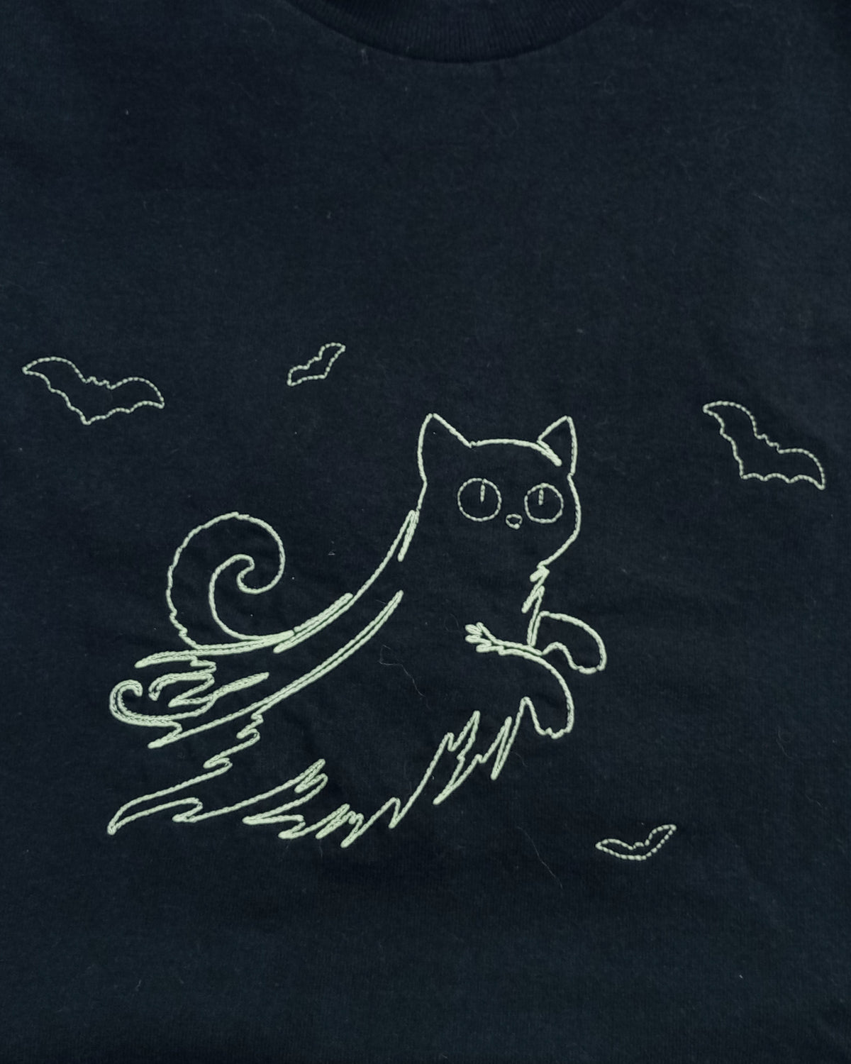 Chat fantôme - Phosphorescent